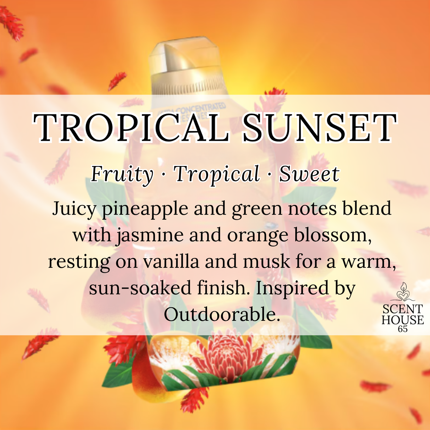 Tropical Sunset Hoover Fresheners